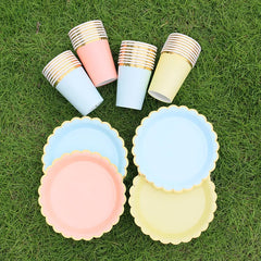 Disposable Party Supplies
